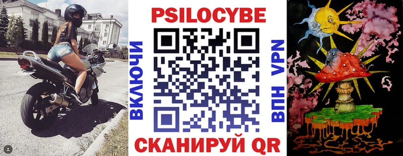 Купить  Воткинск  Псилоцибиновые грибы Psilocybe 